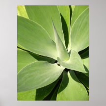 Natural Green Spirals Poster Print