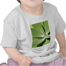 Natural Green Spirals T Shirts