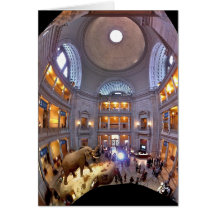 Natural History Museum Card