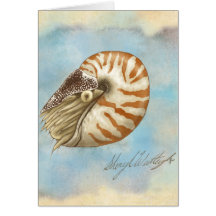 Natural History Nautilus Greeting Cards