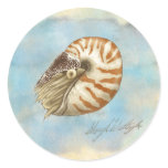 Natural History Nautilus Round Sticker