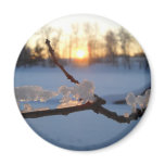 Natural Ice Animals in Winter Refrigerator Magnet