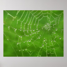 Natural Jewels - poster
