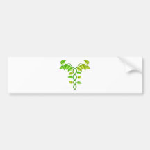 Natural or alternative medicine concept bumper stickers