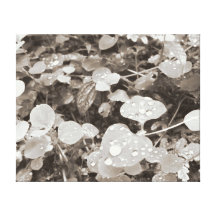 Natural Round Leaves Canvas Print