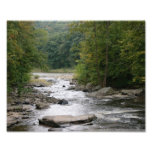 Natural Waters 10 x 8 Photographic Print