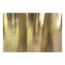 Nature abstract photo print
