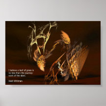 Nature and the Universe Poster