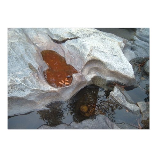 Nature Announcements