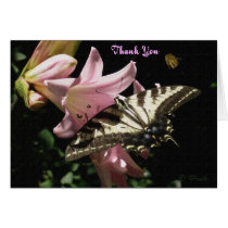Nature at it's finest greeting cards