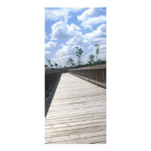 Nature Board Walk Rack Card Design