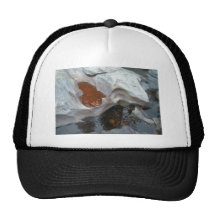 Nature Casquette