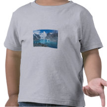 Nature Destiny Peaceful Scape Tee Shirts