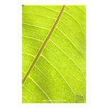 Nature/Green Leaf Customized Stationery