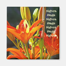 Nature Heals Nature Heals magnet Orange Lily