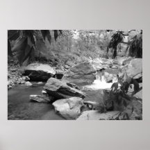 Nature in black & white print