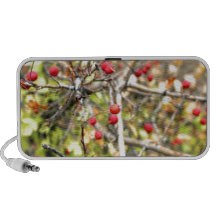 Nature in Russia Portable Speaker
