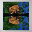 Nature in the forest posters