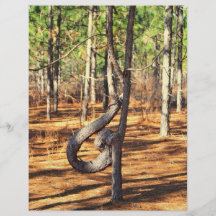 Nature is Artistic Flyer Design