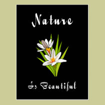Nature Is Beautiful postcards