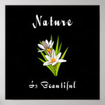 Nature Is Beautiful Posters