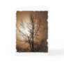 NATURE LOVER GREETING CARDS