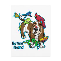 Nature Lover Post Cards