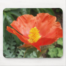 nature mousepads