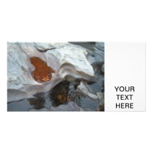 Nature Photo Card Template