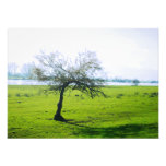 nature photo art