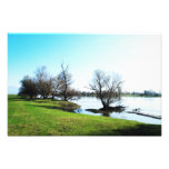 nature photo