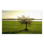 nature photograph