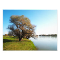 nature photo art