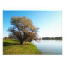 nature photo art