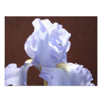 Nature Photography art prints Blue Iris Flowers