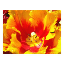 Nature Photography Red Yellow Fine Art Print