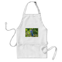 Nature Photography Shy Blue Jay Apparel Gifts Aprons