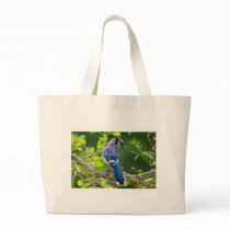 Nature Photography Shy Blue Jay Apparel Gifts Canvas Bag