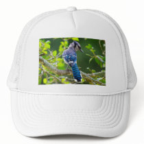 Nature Photography Shy Blue Jay Apparel Gifts Trucker Hat