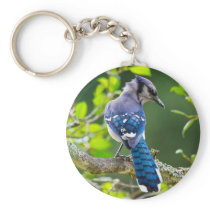 Nature Photography Shy Blue Jay Apparel Gifts Key Chains
