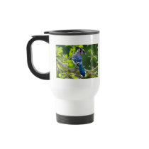 Nature Photography Shy Blue Jay Apparel Gifts Coffee Mugs