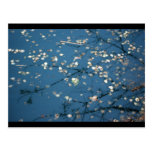 Nature Post Card