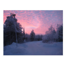 Nature Post Cards