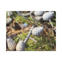 Nature Poster Canvas Print