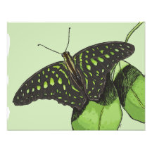 Nature’s Camouflage Butterfly Photograph