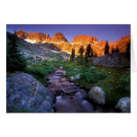 Nature Scene I Cards