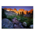 Nature Scene I cards