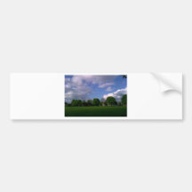 Nature Scenery Bumper Stickers