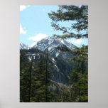 Nature scenes Print