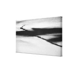 Nature--The Great Calligrapher Canvas Prints